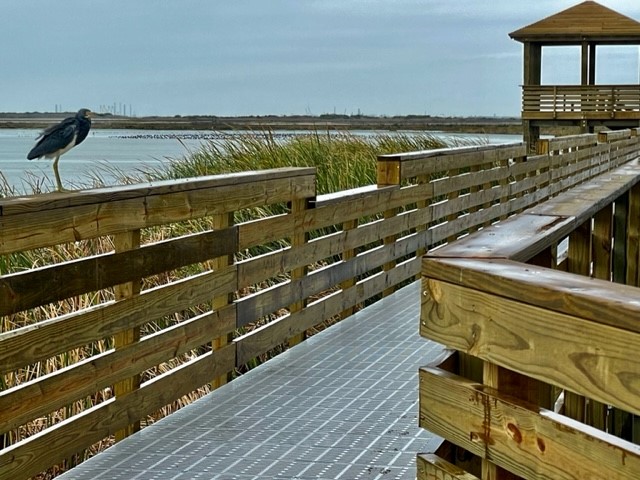 Marine Construction: Leonabelle Turnbull Boardwalk reconstruction post hurricane Harvey.